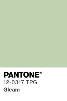 Green Leo Stretch Satin Fabric for Lingerie — SoftDolly by Boselli