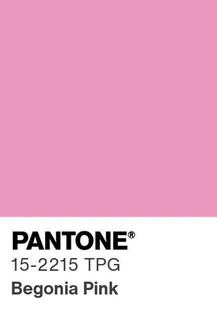 Pink Leo Stretch Satin Fabric for Lingerie — SoftDolly by Boselli