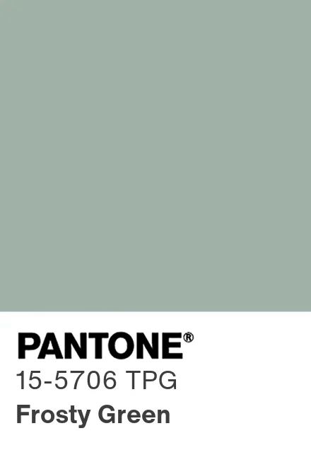 Frosty Green Picot Elastic 14 mm