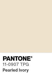 Pearled Ivory Picot Elastic 14 mm