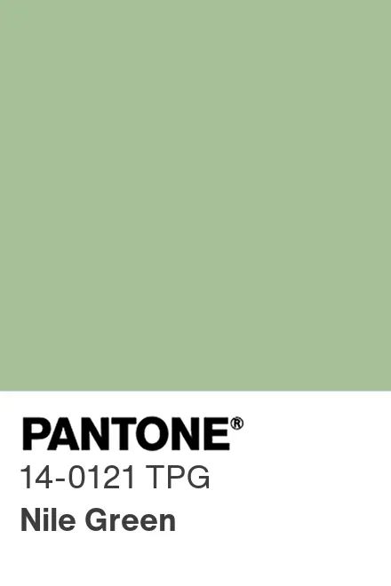 Nile Green Stretch Lingerie Satin Fabric