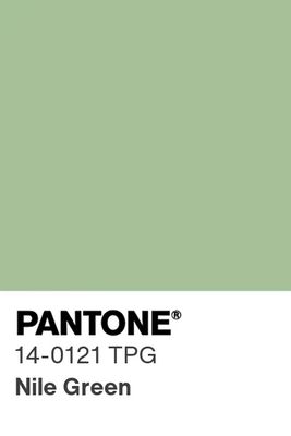 Nile Green Stretch Lingerie Satin Fabric