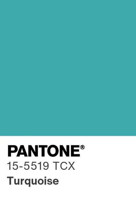 Turquoise Lingerie Elastics – Sold by the Metre