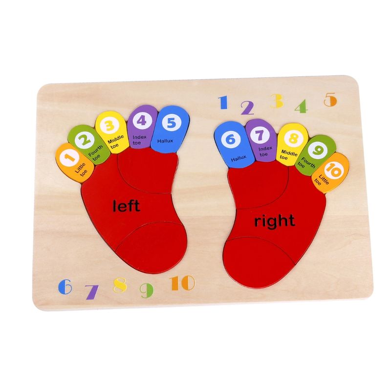 762-0007 - Toysters Colorful Foot Puzzle