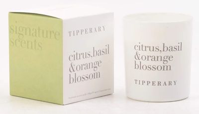 Signature Scents: Citrus, Basil & Orange Blossom
