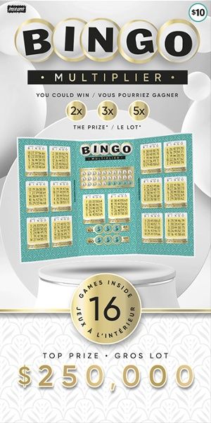 BINGO MULTIPLIER -10.00