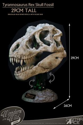 Star Ace Tyrannosaurus Rex Skull Fossil Polyresin Statue