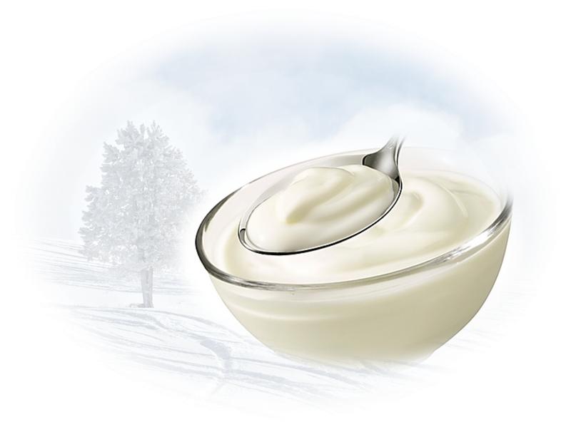 Yogurt |Natural