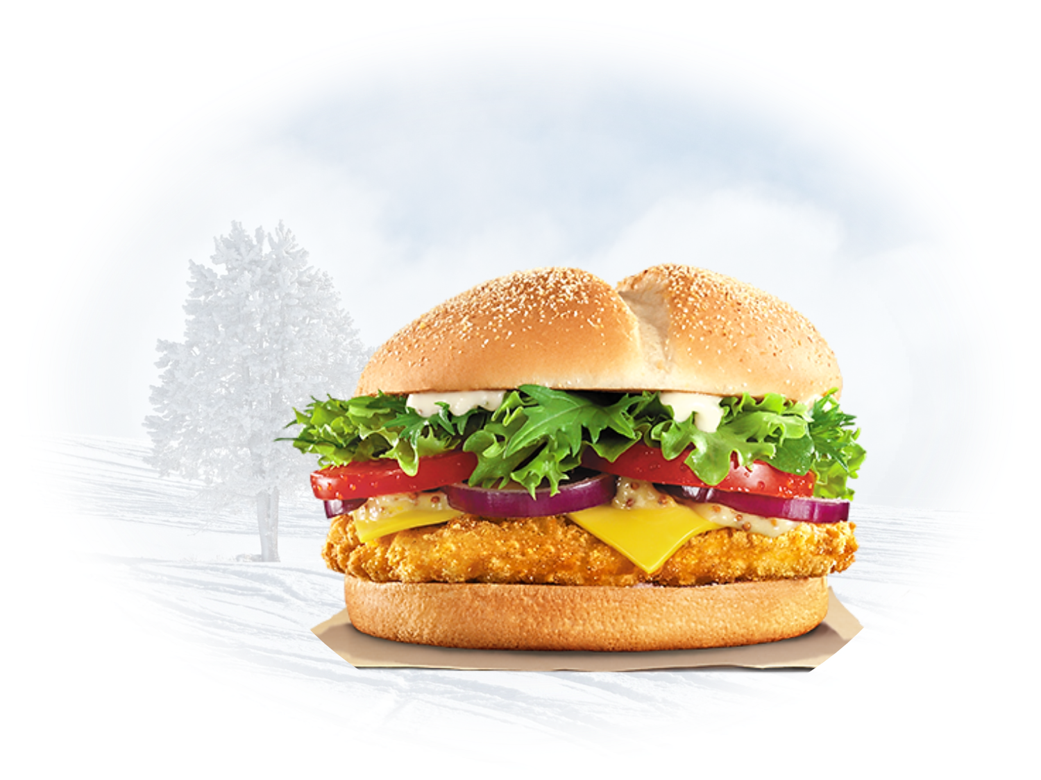 Burger |Chicken Steak