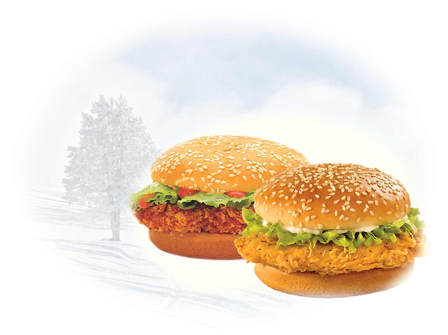 Burger |Chicken Twin