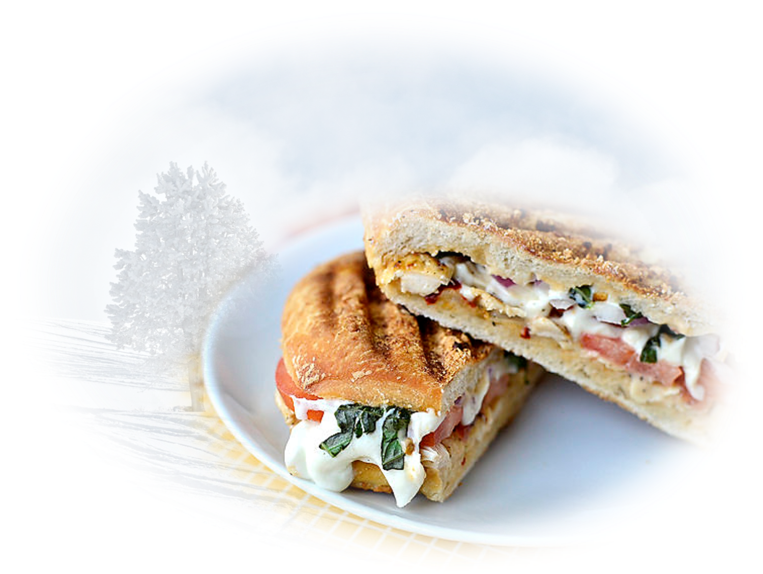 wijis |Panini