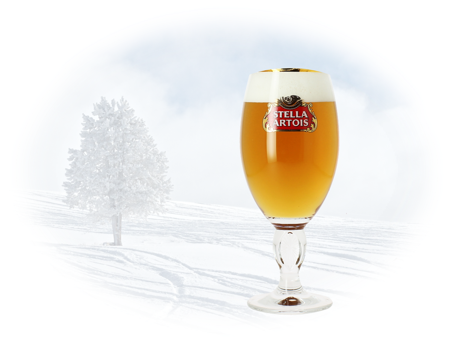 Stella Artois |Beer