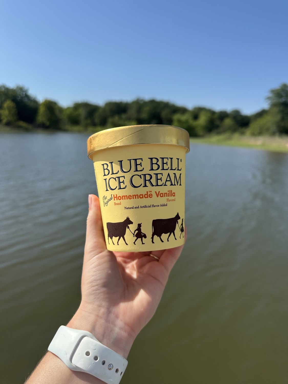 Ice Cream Pint, Flavor: Vanilla