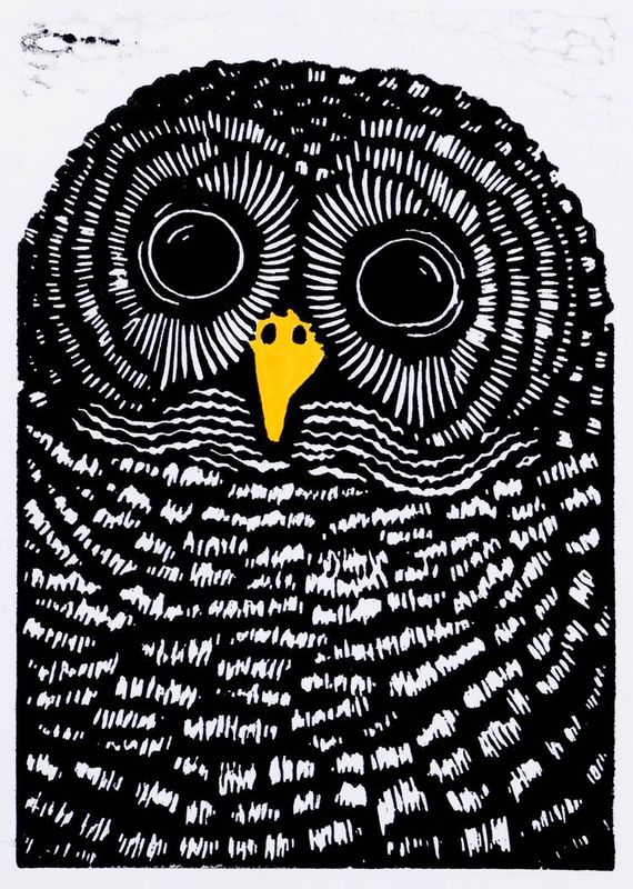 Barred Owl