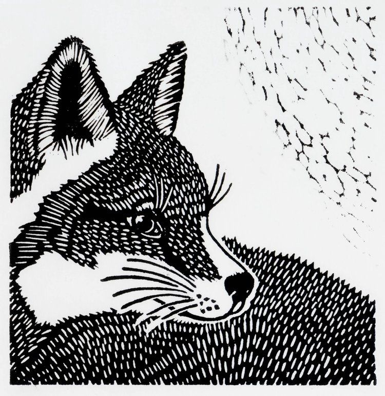 Foxy