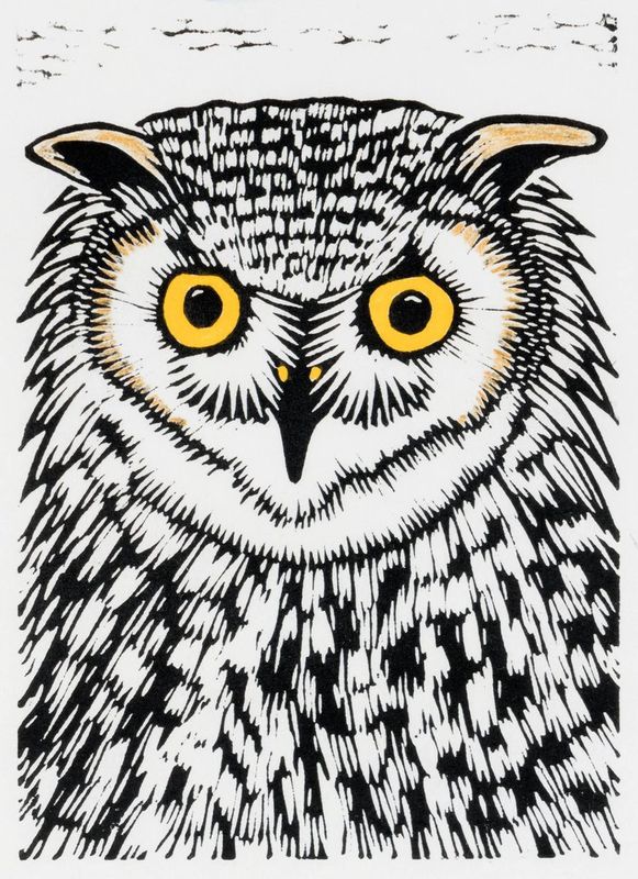 Hoot III