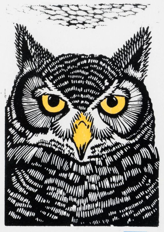 Hoot II