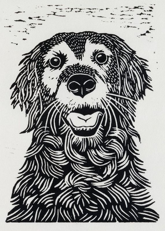 Old Dog