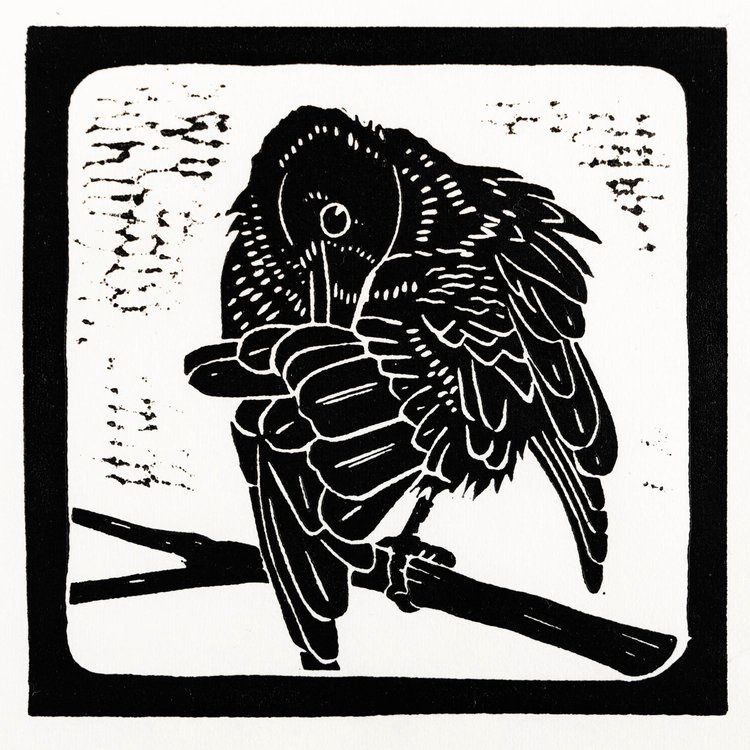 Primping Crow I