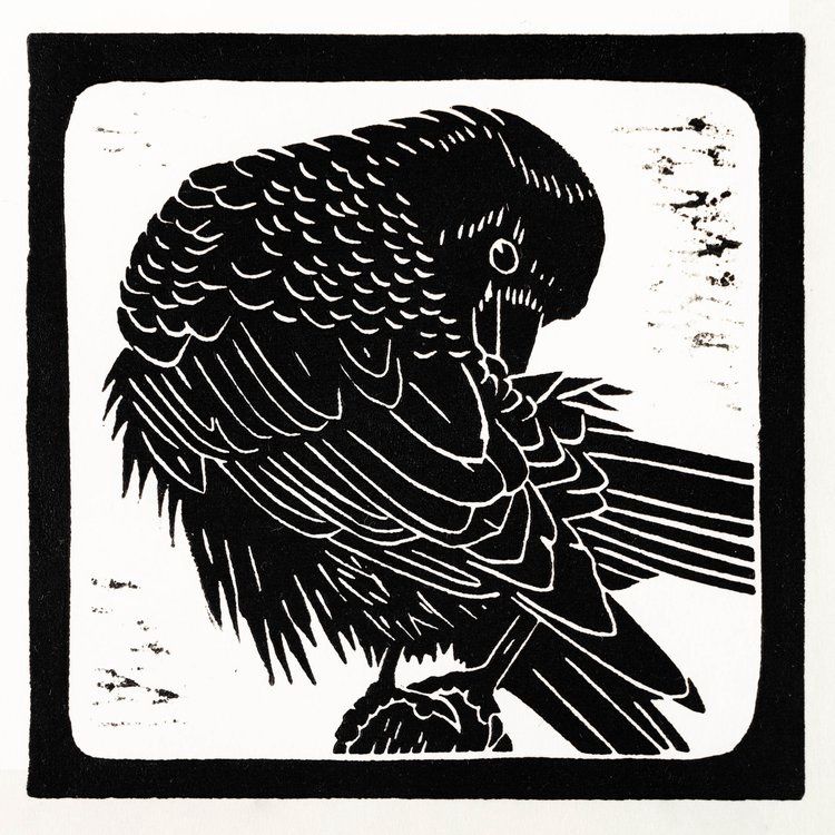Primping Crow III