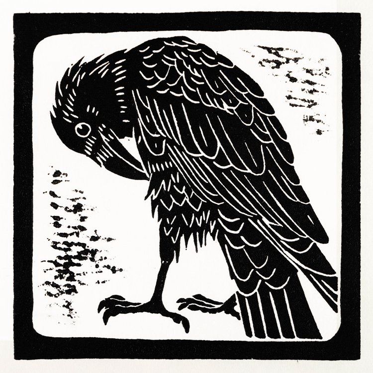 Primping Crow II