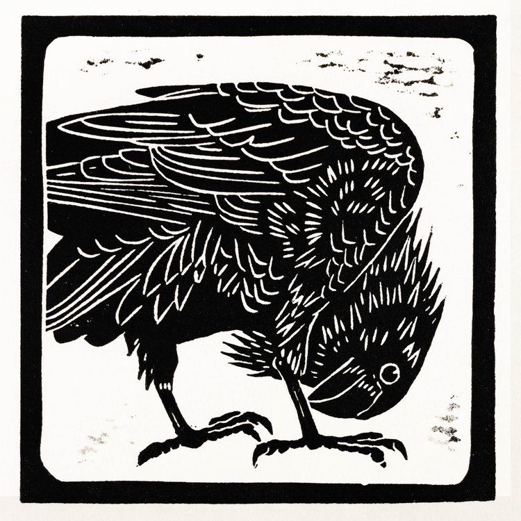 Primping Crow IV
