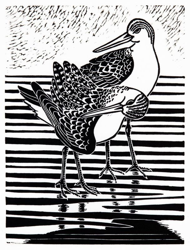 Preening