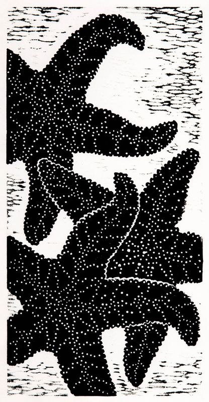 Sea Stars