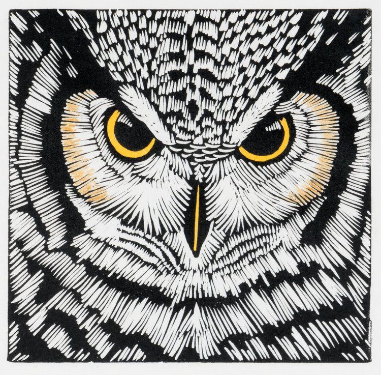 Shrewd Eyes