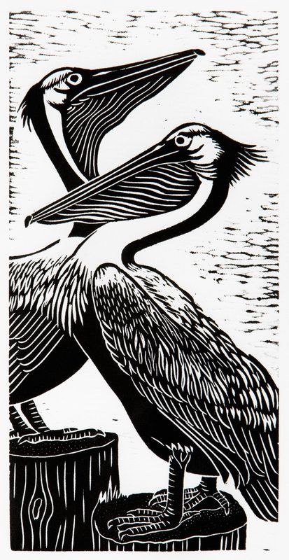 Two Pelicans