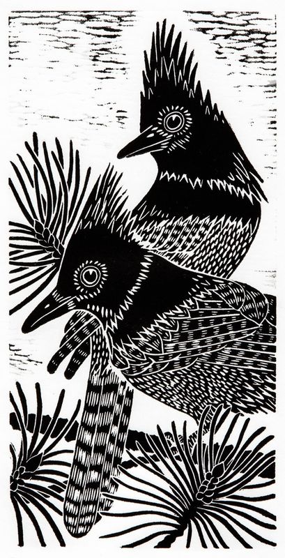 Stellars Jay