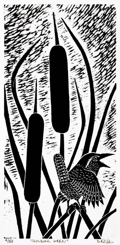 Scolding Wren