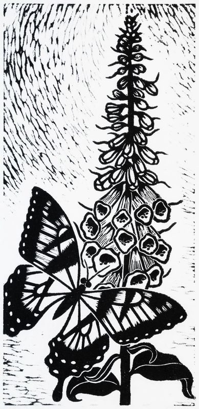 "Swallowtail"