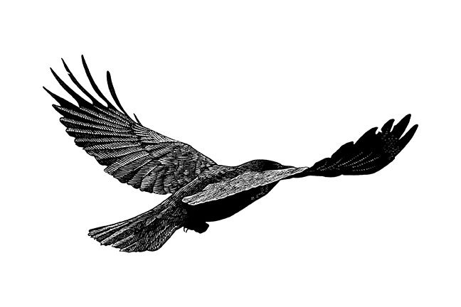 Sovereign