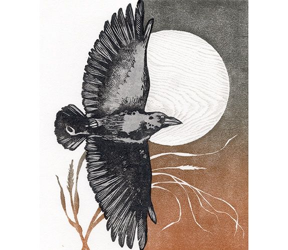 Crow Moon