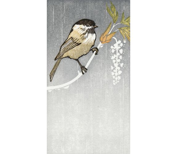 Maple Perch