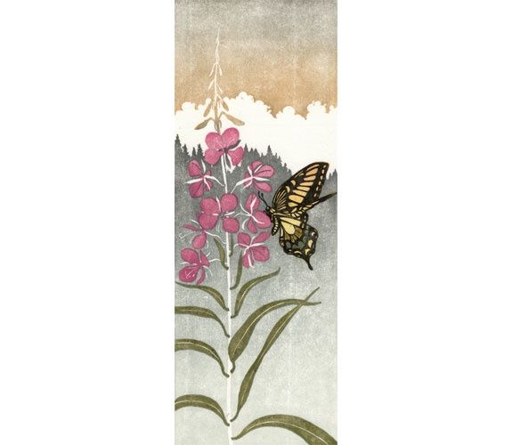 Fireweed II