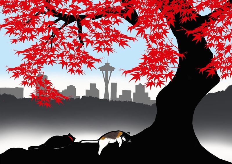 Cat Nap Under The Maple Tree
