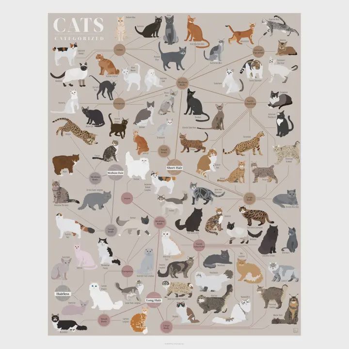 Cats