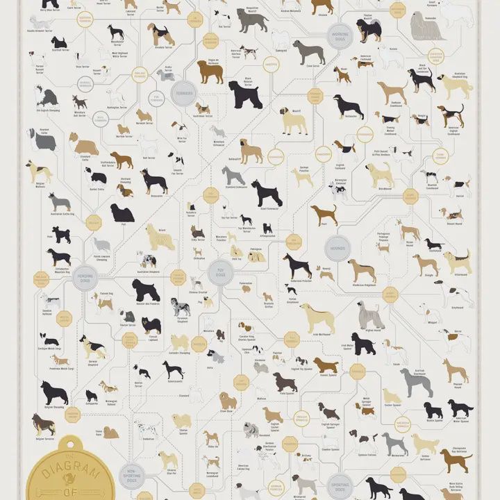 Dogs