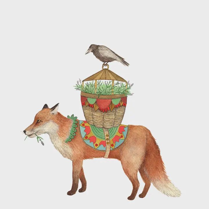 The Fox