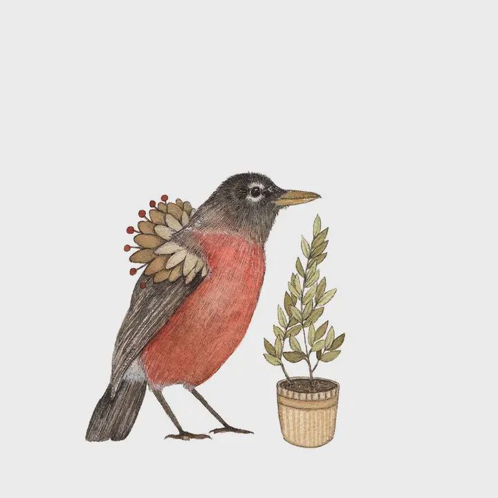 The Robin