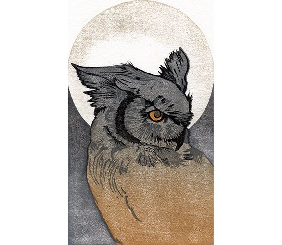 Owl Moon