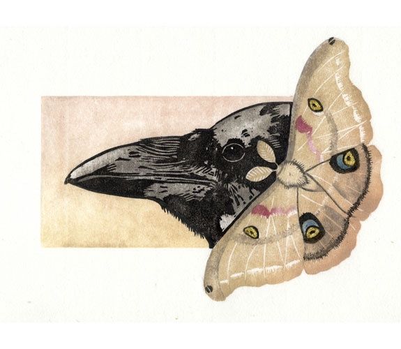 Polyphemus
