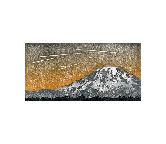 Orionids