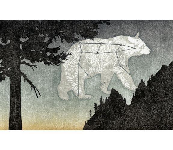 Ursa Walking