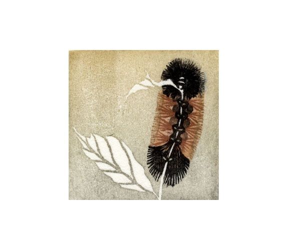 Woolly Bear