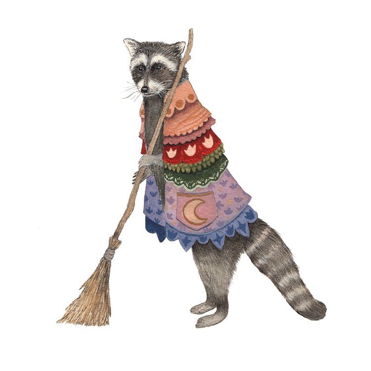 Wanda's Broom