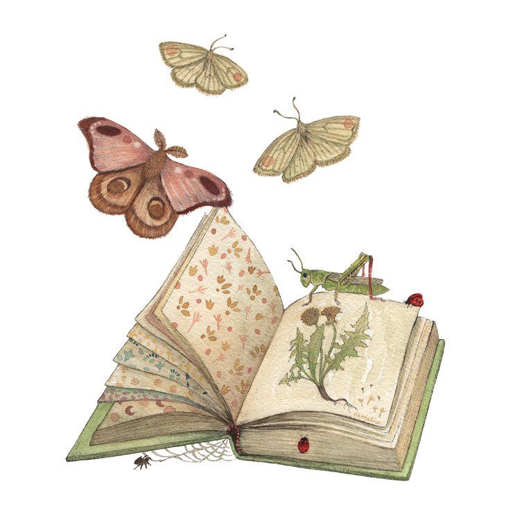 Freya's Book