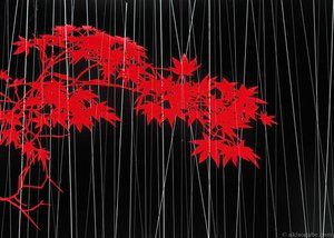 Night Rain